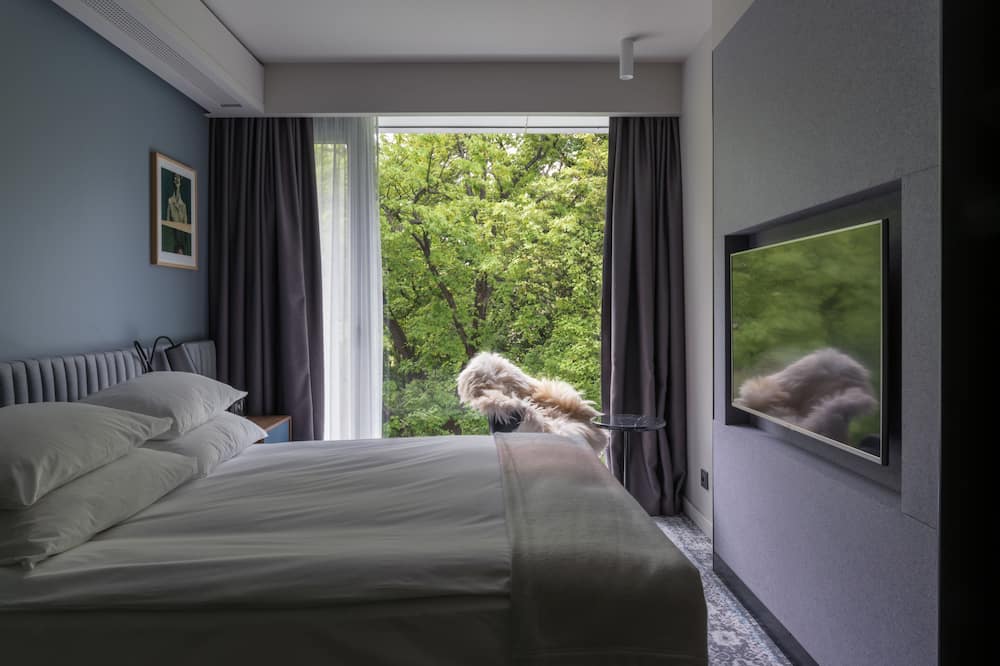 プロ ヴロツワフ スタレ ミャスト 写真