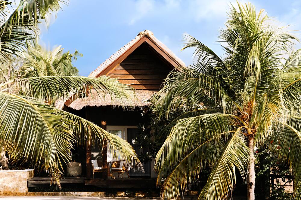 メノ ハウス 写真