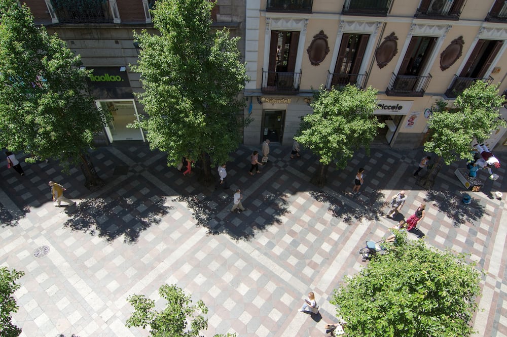 プチ パレス アレナル 写真