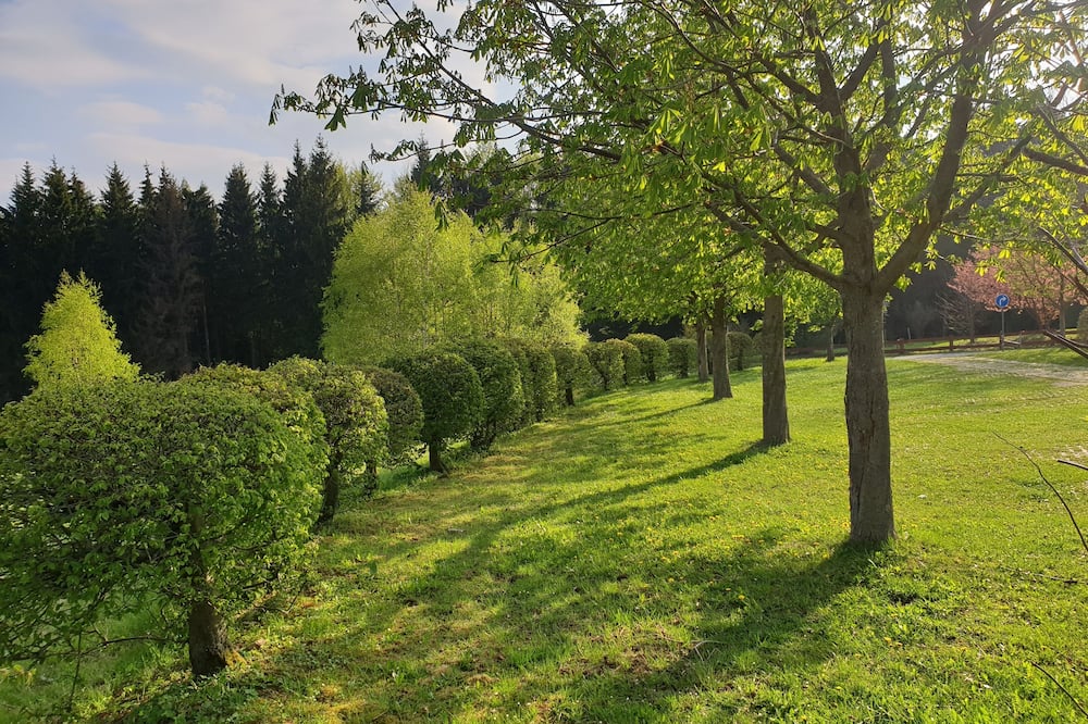 Berghotel Drei Bruder Hohe im Erzgebirge 写真