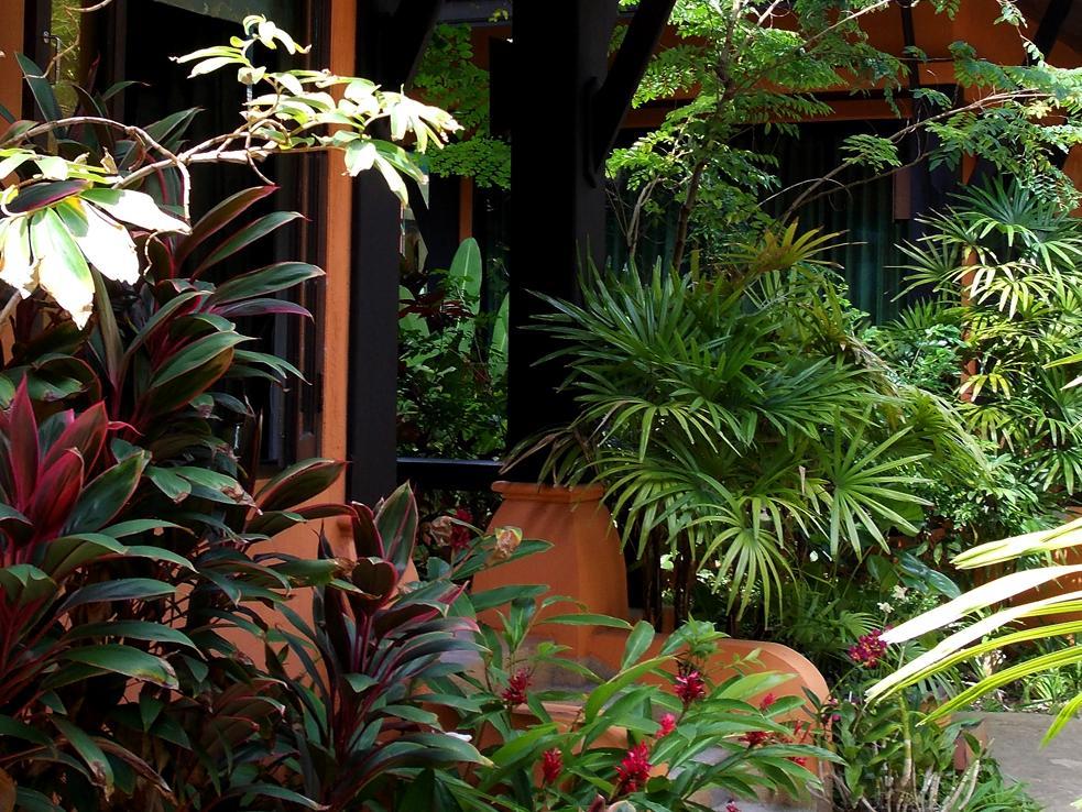 ザ シャンバラ カオラック リゾート 写真