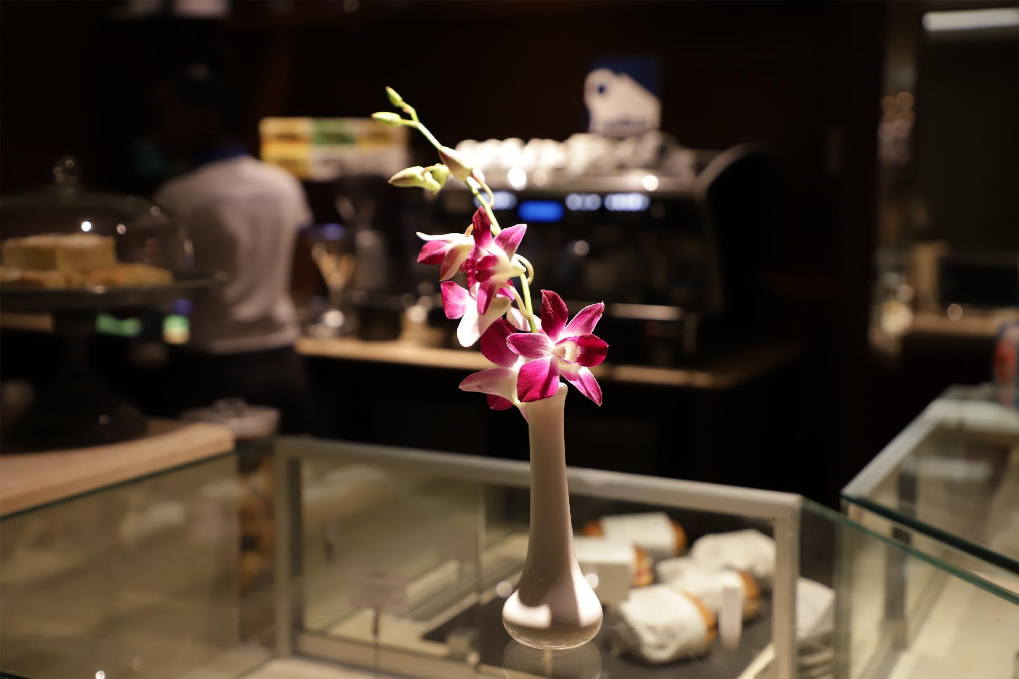 マジェスティック シティ リトリート ホテル 写真