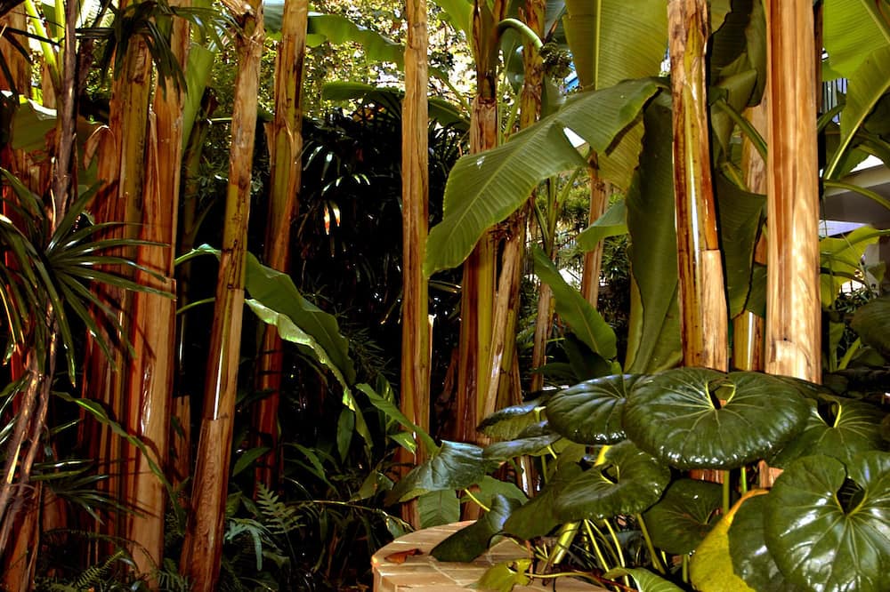 ホテル ナポレオン 写真