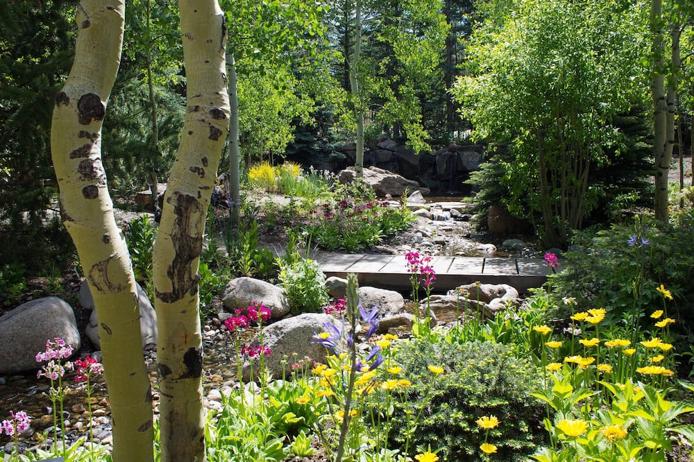 ベールズ マウンテン ハウス 写真