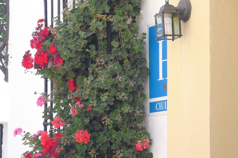 Ronda Center Apartments with Pool 写真