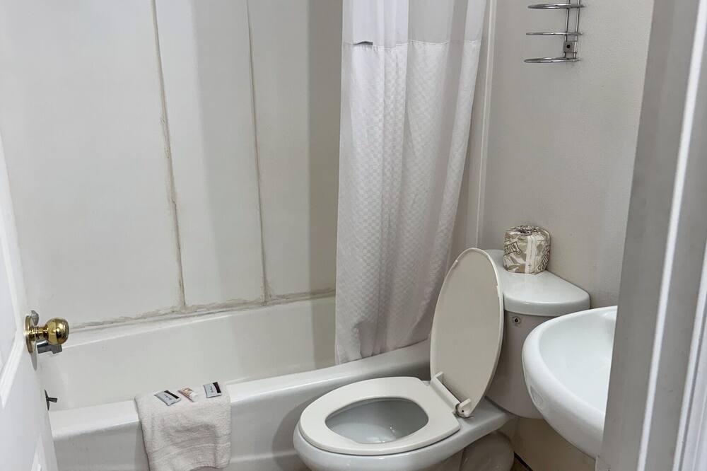 サファリ モーテル 写真