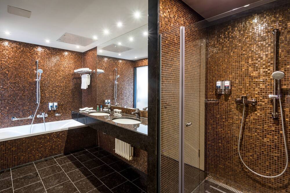 フォー ポインツ バイ シェラトン リュブリャナ モンス 写真