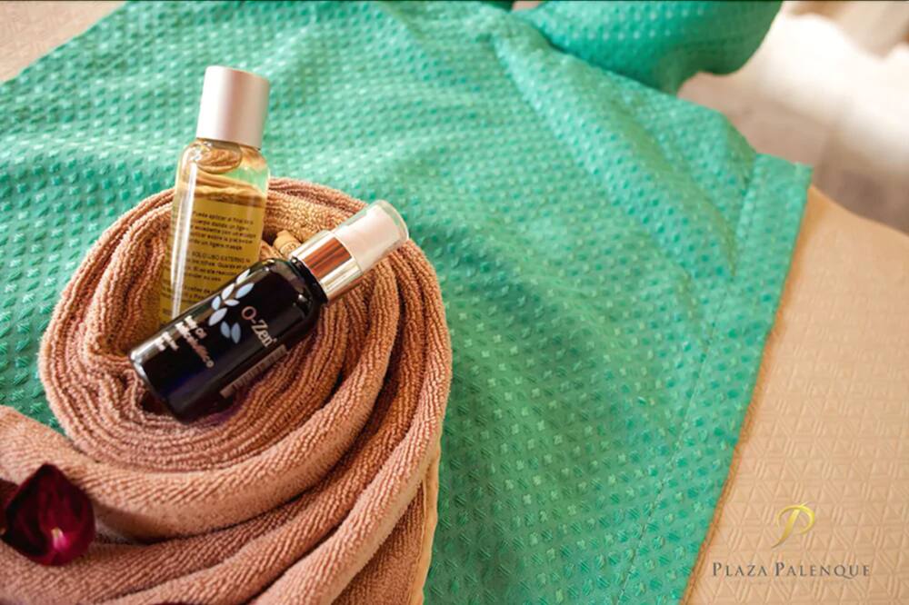 Hotel Plaza Palenque 写真