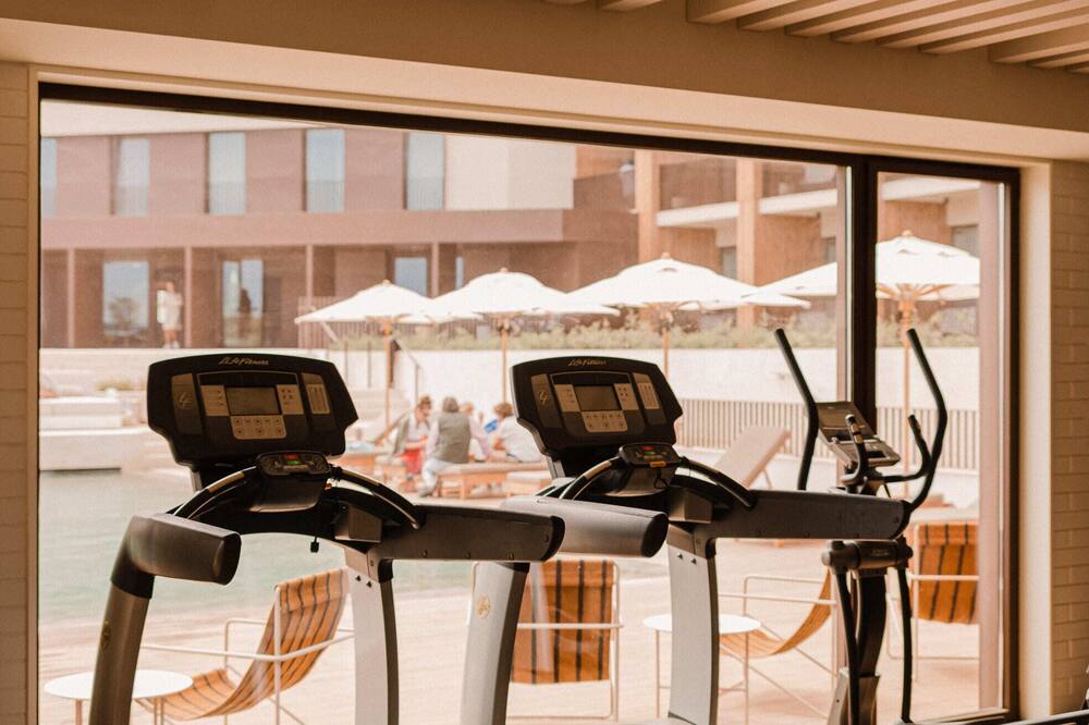 アエートス エリセイラ 写真