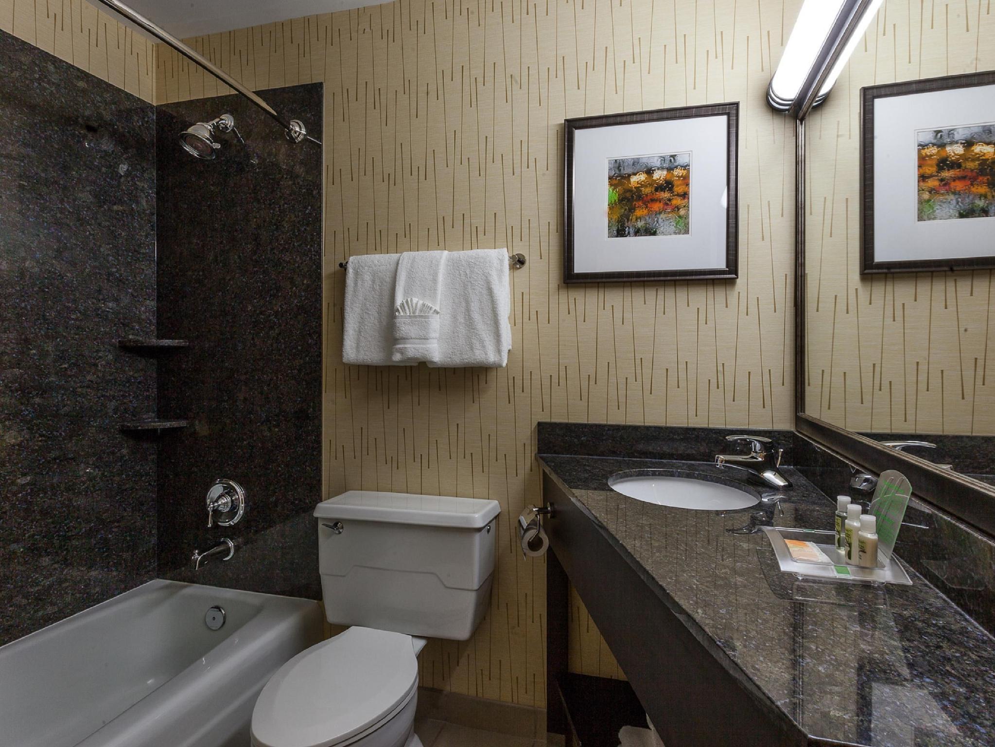 ホリデイ イン シカゴ ノース エバンストン バイ IHG 写真