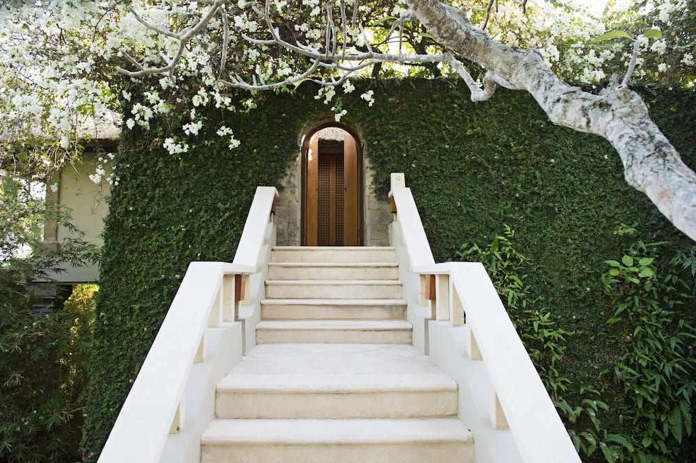 アマンキラ 写真