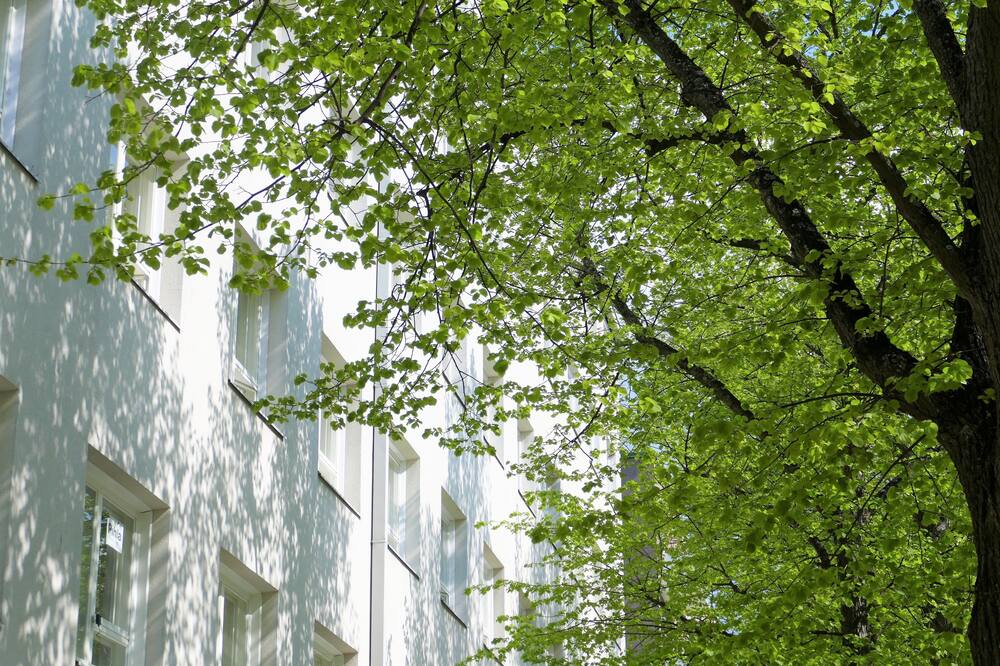 Hotel Raumanlinna 写真