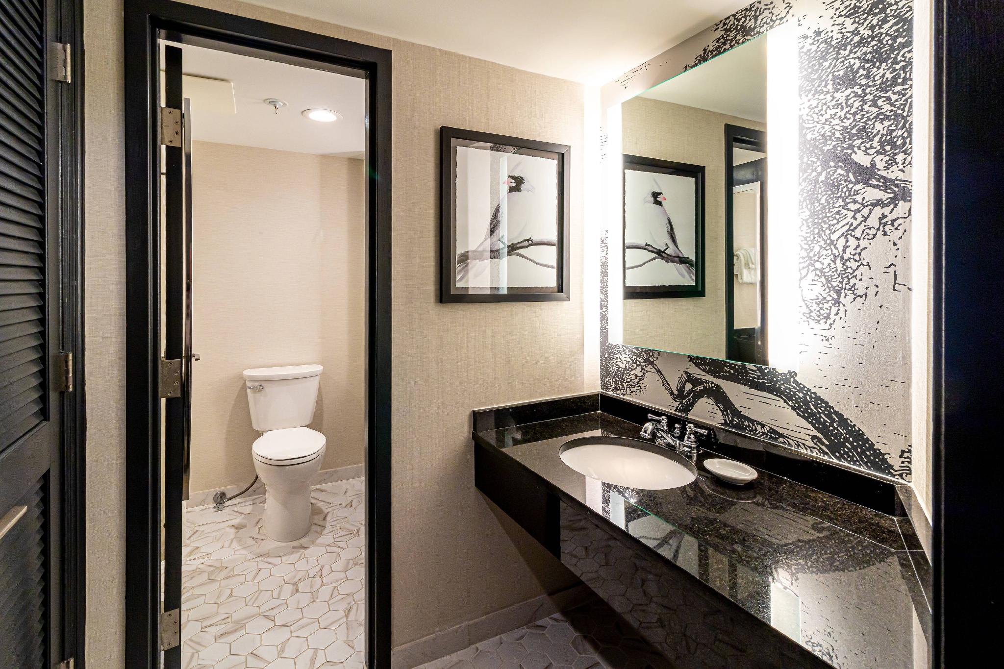 Williamsburg Lodge, Autograph Collection 写真