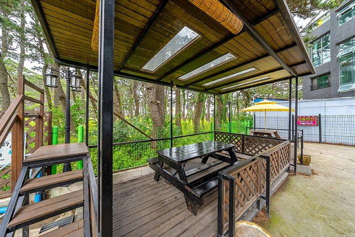 カンポ ウンソル ファミリー ペンション 写真