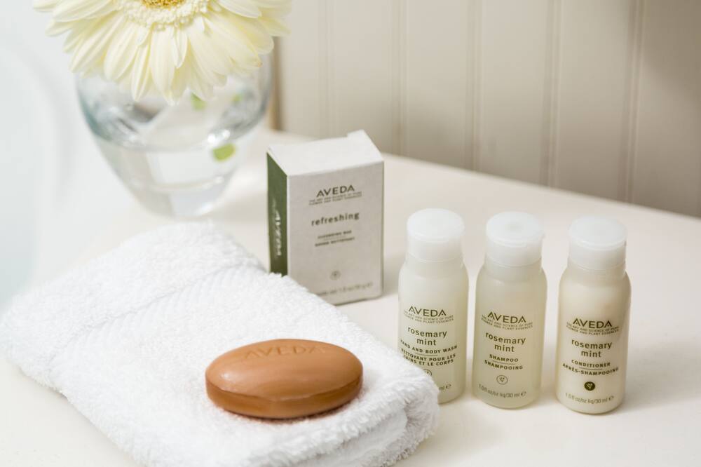 ザ ウッドストック イン オン ザ ミルストリーム 写真