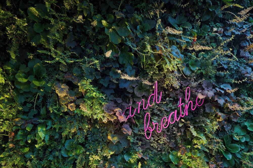 キンプトン デ ウィット アムステルダム バイ IHG 写真