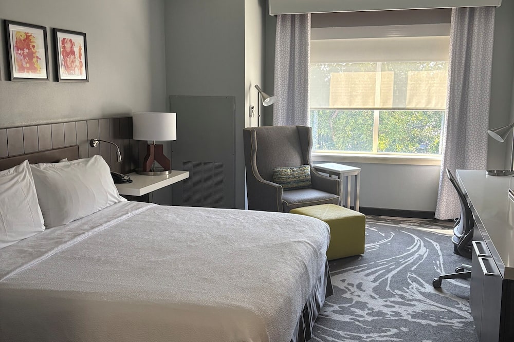 Hilton Garden Inn DFW Airport South 写真