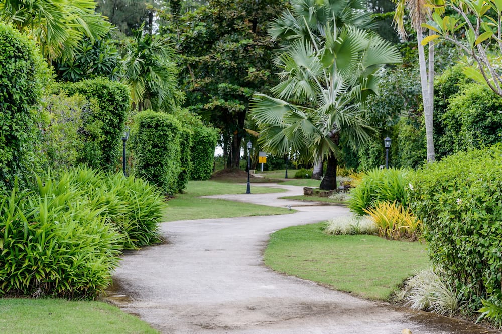 レスプリ ド ナイヤン ビーチ リゾート 写真
