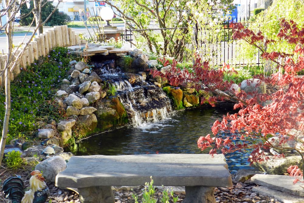 カプリ イン 写真