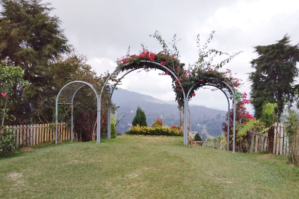 サンライト スイート 写真