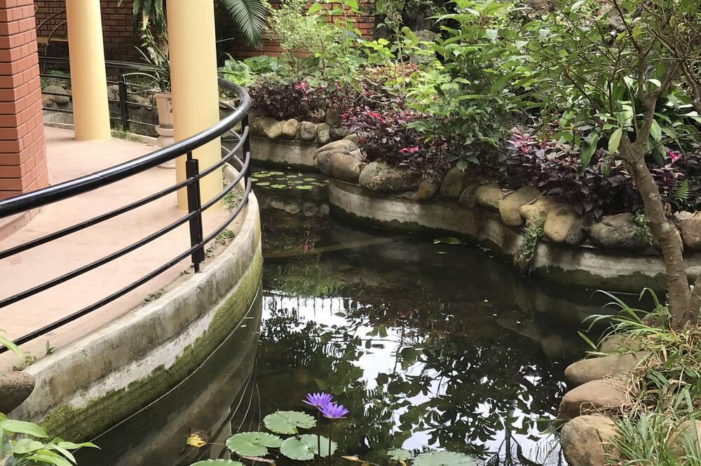 スプリング ガーデン ヴィラ 写真