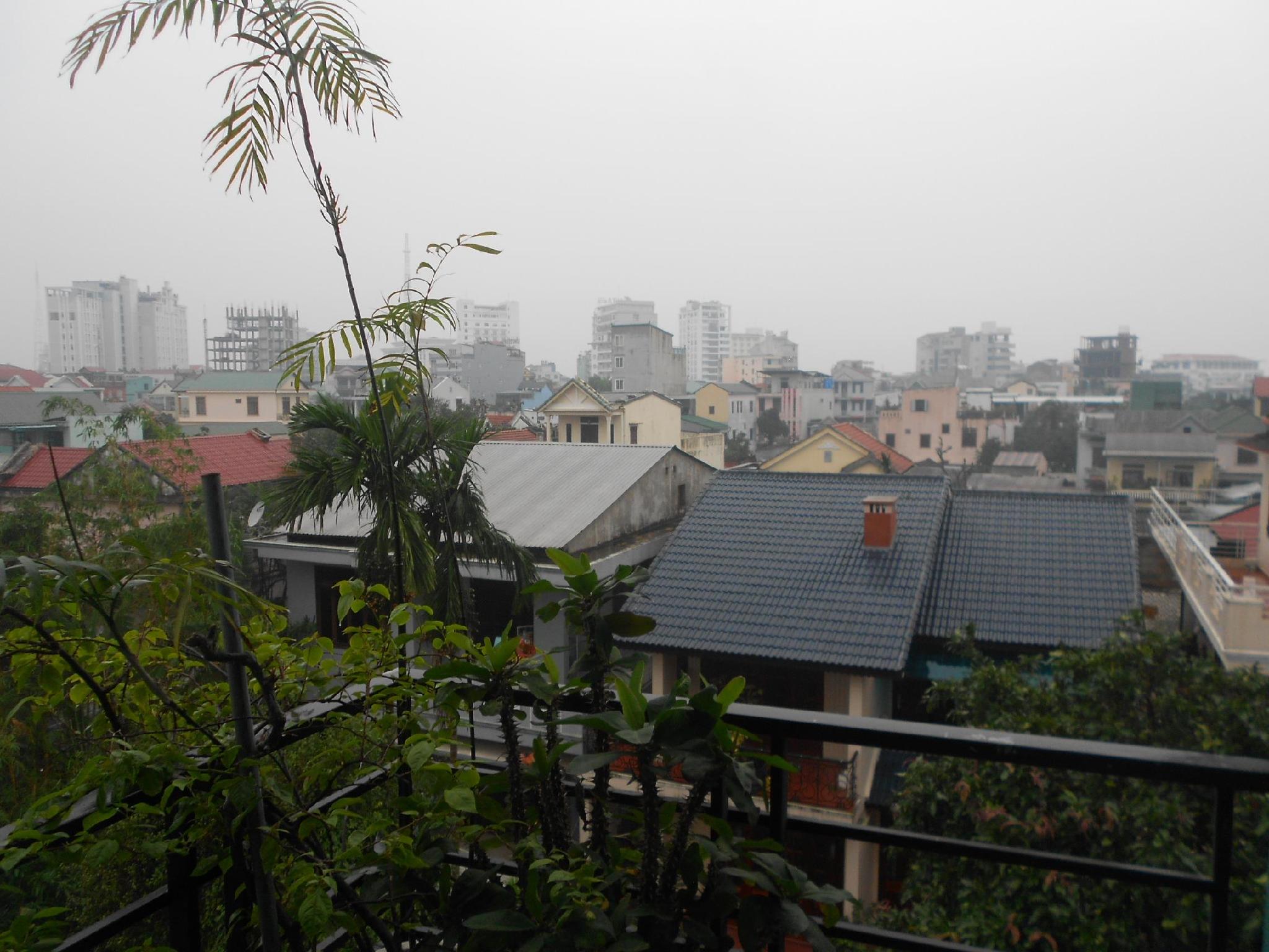 バレンタイン ホテル 写真