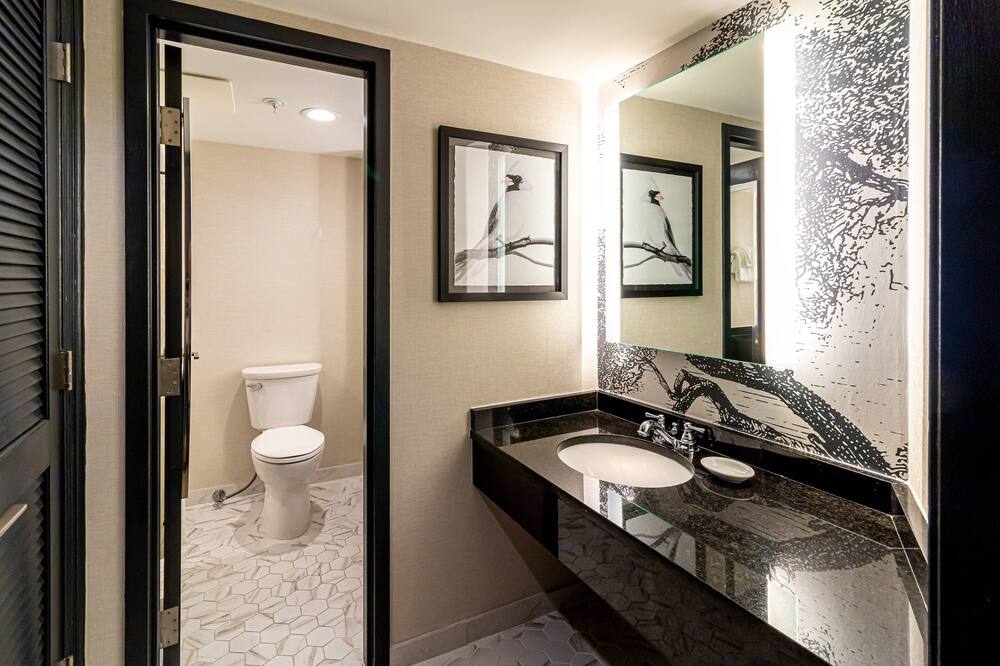 Williamsburg Lodge, Autograph Collection 写真