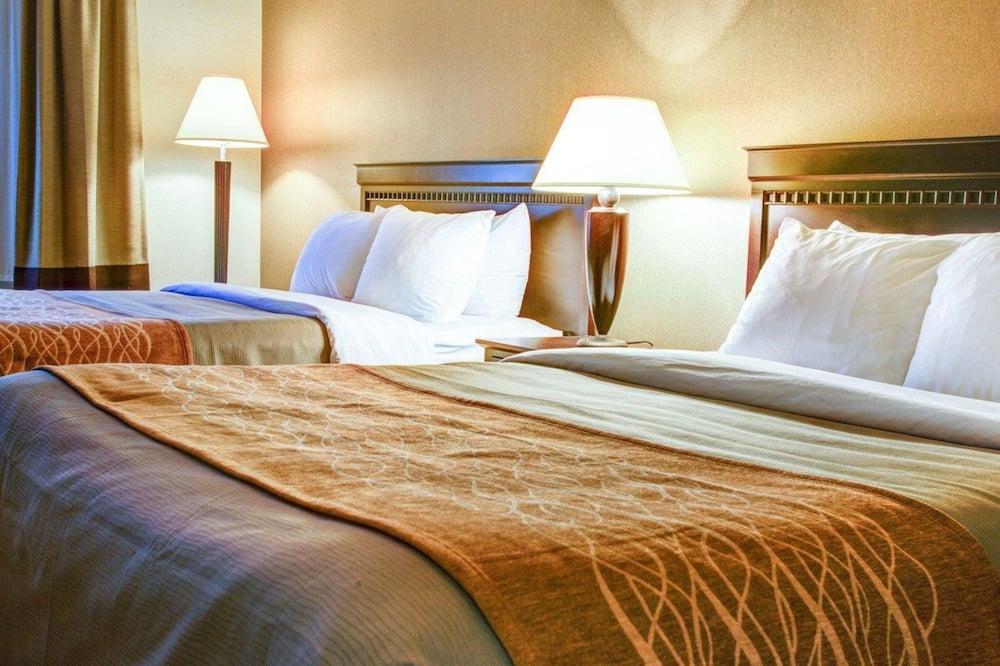 クオリティ イン フローレンス 写真