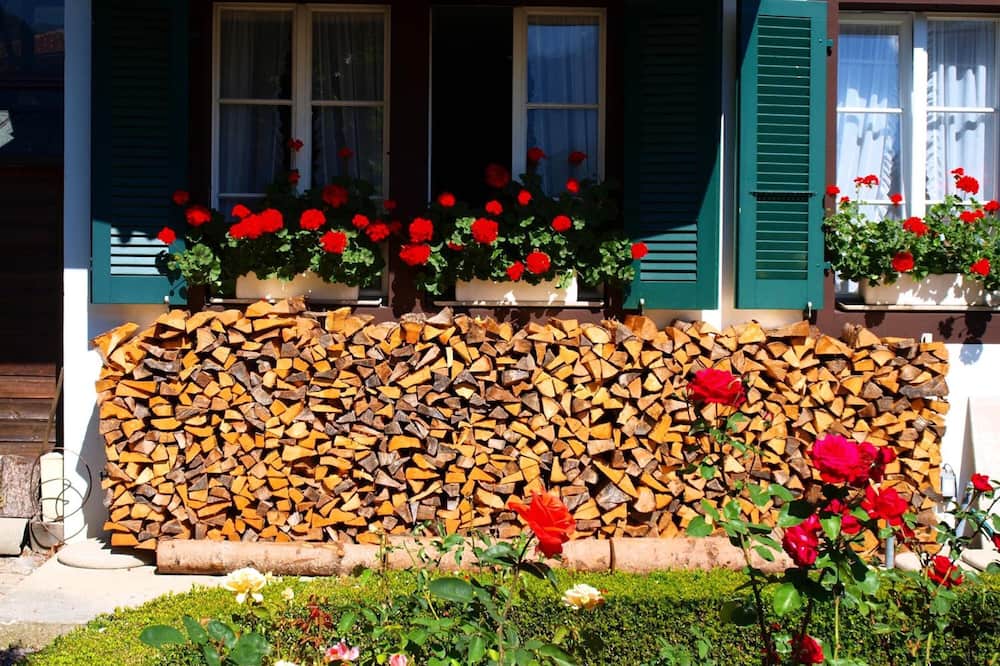 ホテル シャレー スイス 写真