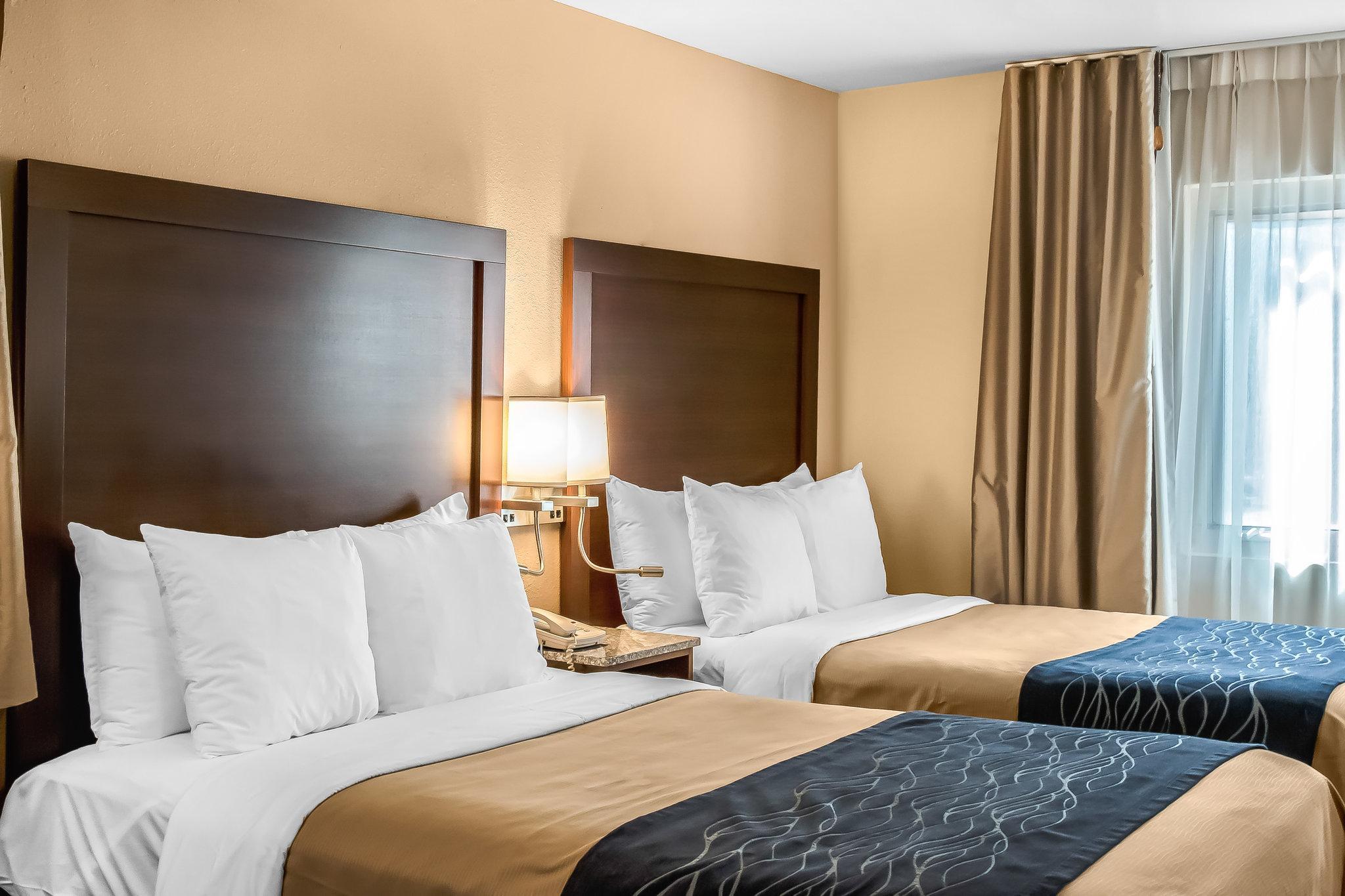 コンフォート イン ガスランプ コンベンション センター 写真