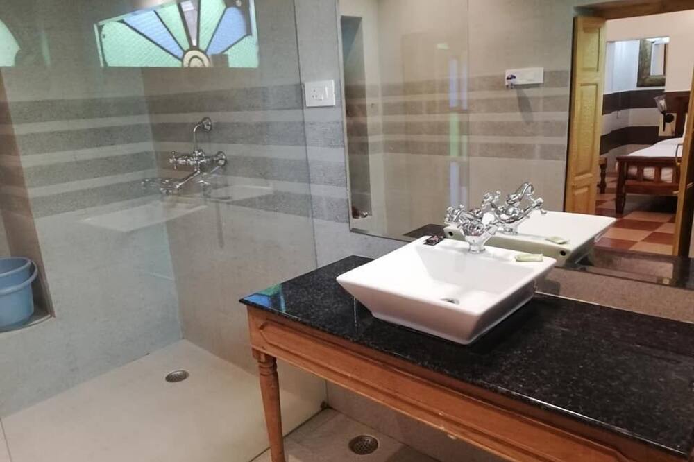 クリシュナ プラカシュ ヘリテージ ハヴェリ ホテル 写真