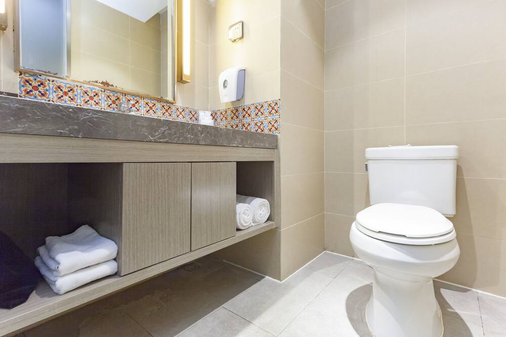 ホリデイ イン ラサ ポタラ パレス by IHG (拉〓布达拉〓智〓假日酒店) 写真