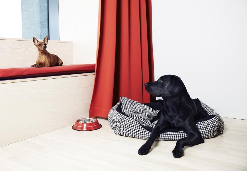 ベスト ウェスタン プラス パーク シティ ハンマルビー ショースタッド 写真