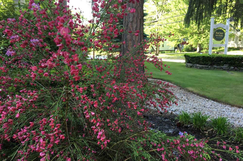 パインクレスト イン 写真