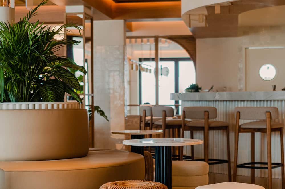 アエートス エリセイラ 写真