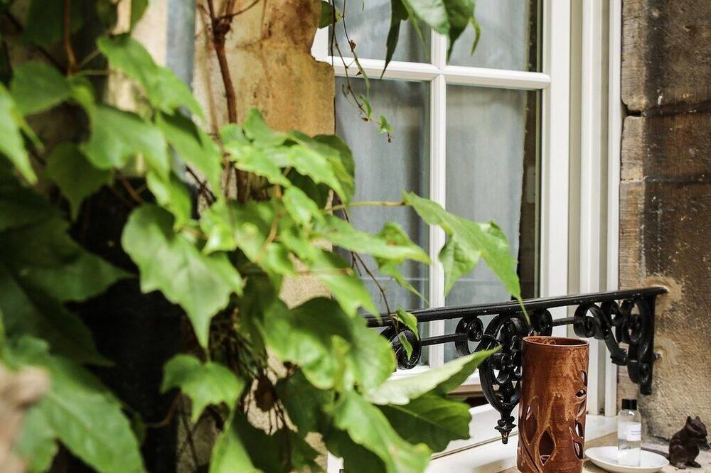 シャンブル ドット ル プティ テルトル 写真