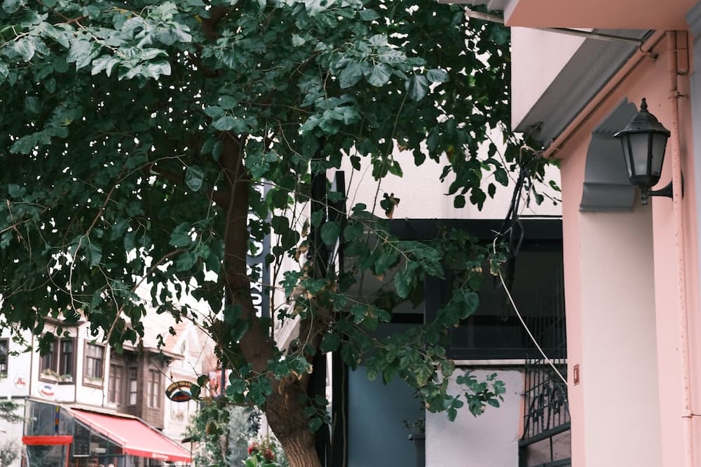 アゴラ ゲストハウス＆ホステル 写真