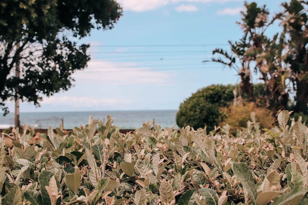 ソンネクス ゲスト ハウス 写真