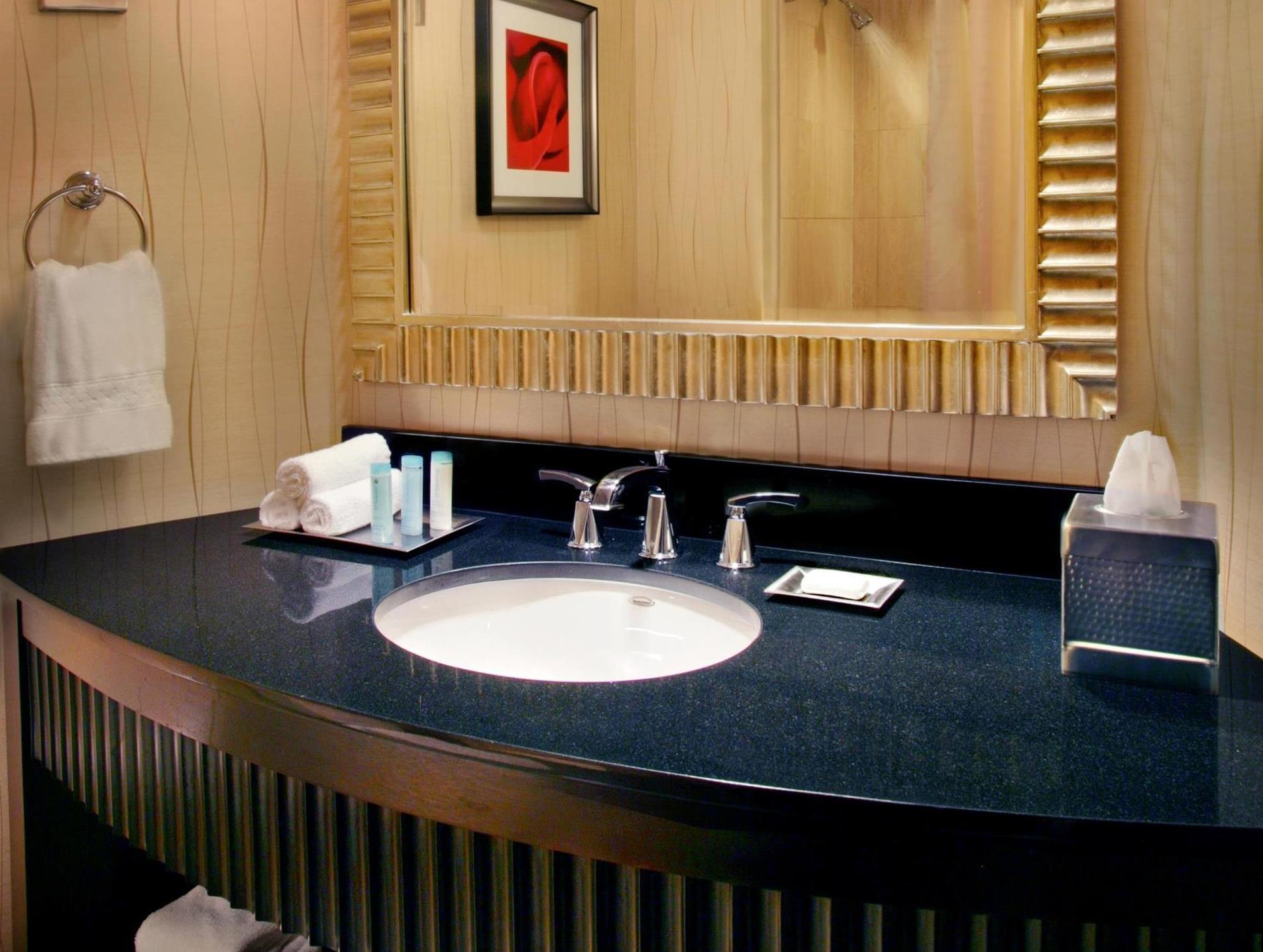 ヒルトン ローズモント シカゴ オヘア 写真