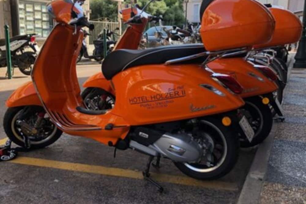 ホルツァー 写真