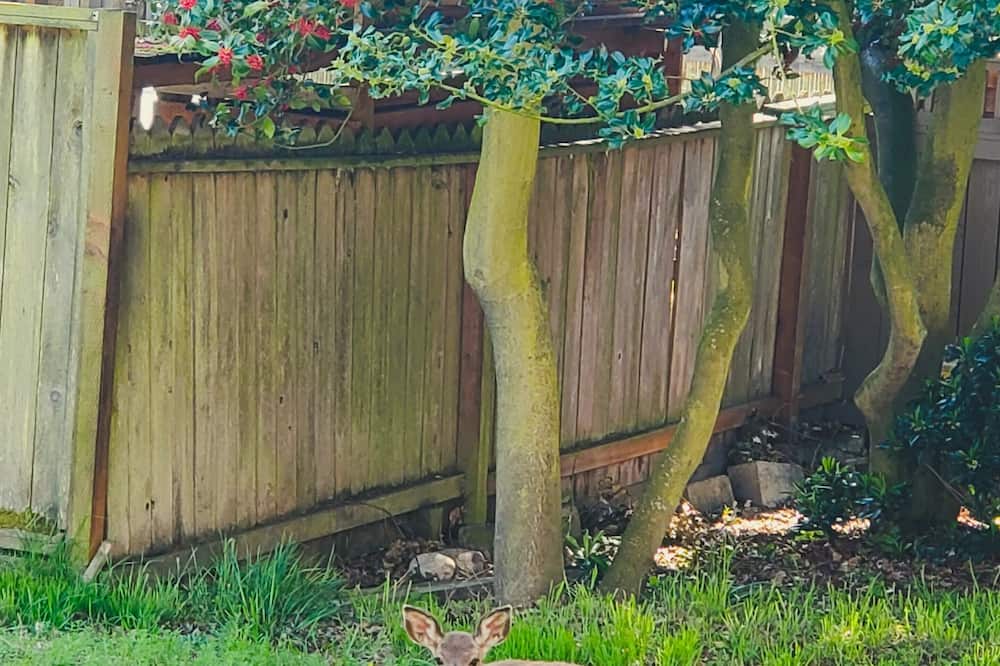 The Adams Pragge House 写真