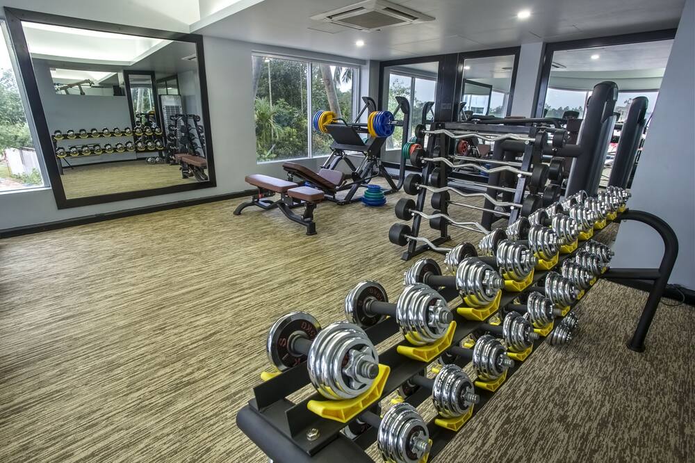 モモ イン 写真