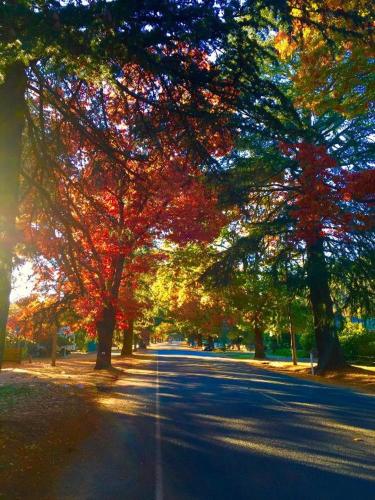 Harrietville Hotel Motel 写真