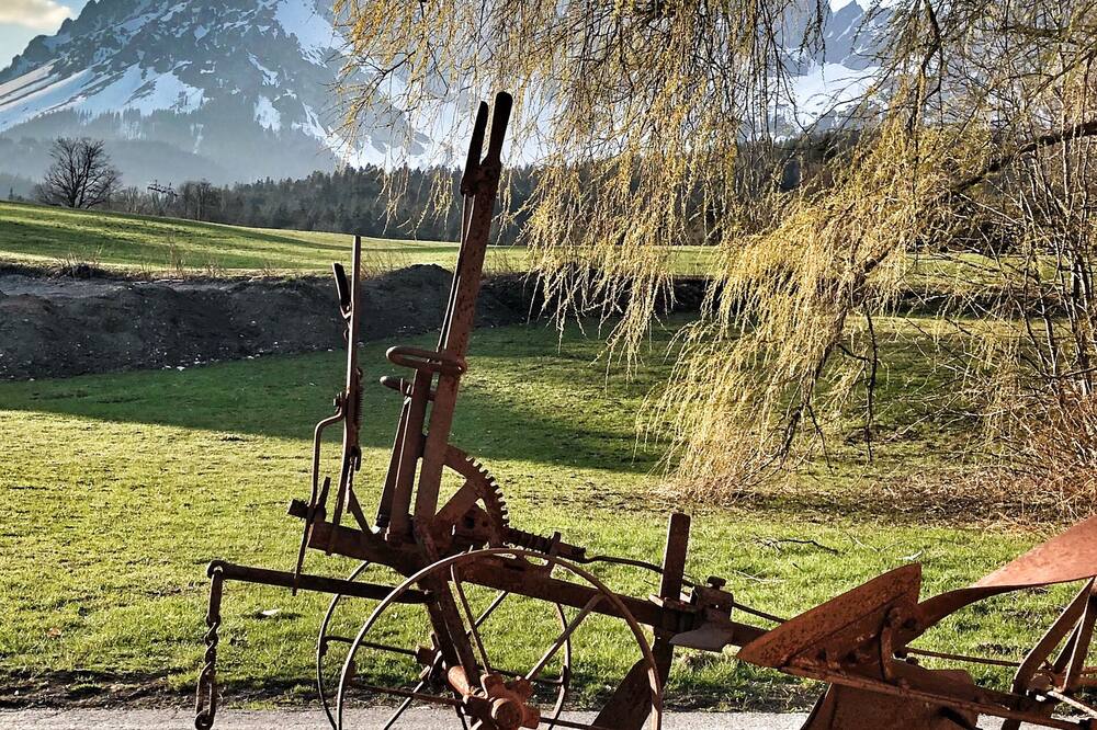 シャレー ベル ワイルド 写真