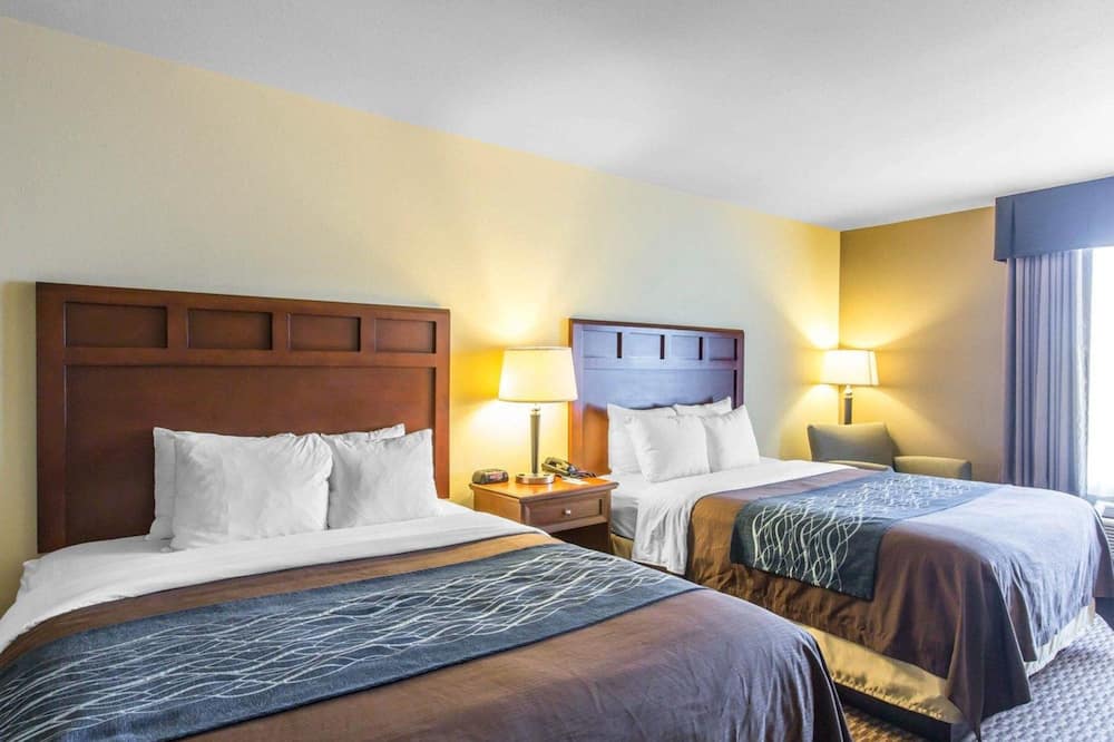 コンフォート イン & スイーツ マディソンビル 写真