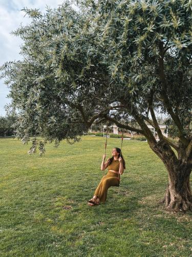 Quinta Dos Perfumes 写真