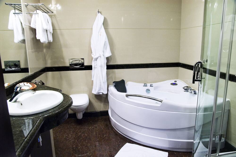 アンバサダー セントラム 写真