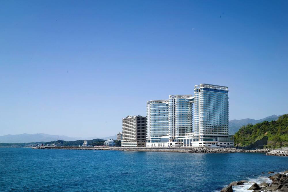 Cassia Sokcho 写真