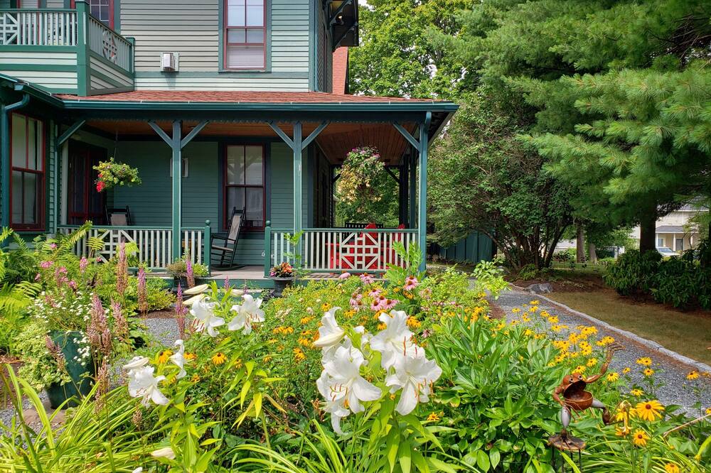 プリムローズ イン 写真
