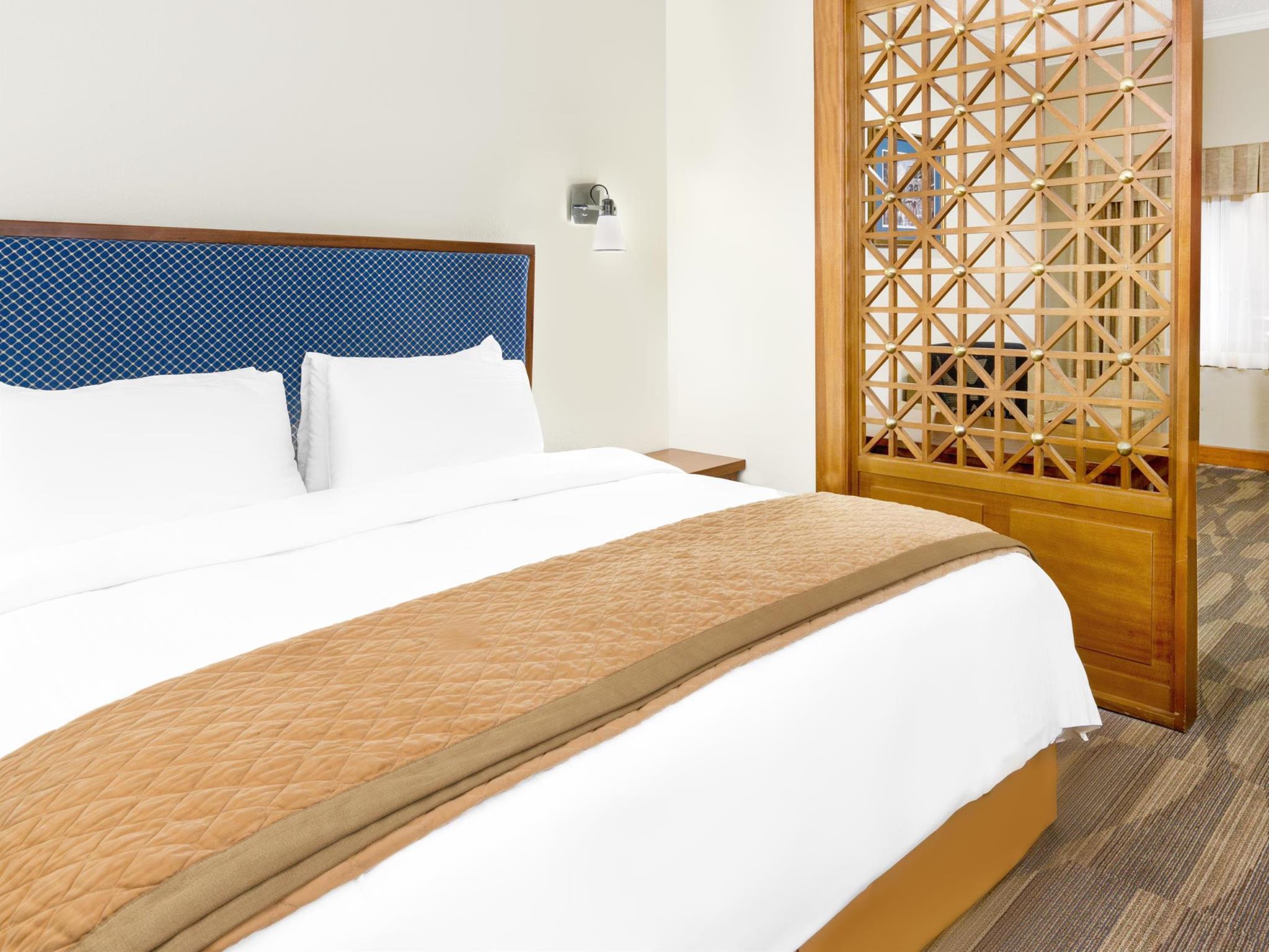 ウィンダム ガーデン バロンヌ プラザ ニューオリンズ 写真